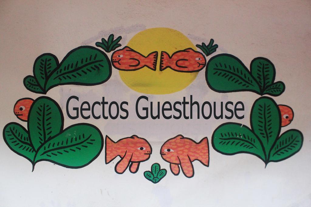 Cactus Guesthouse Arambol Exteriör bild
